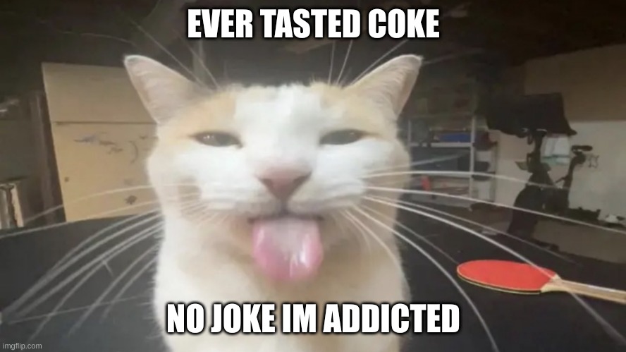 tymkdtjds | EVER TASTED COKE; NO JOKE IM ADDICTED | image tagged in tymkdtjds | made w/ Imgflip meme maker