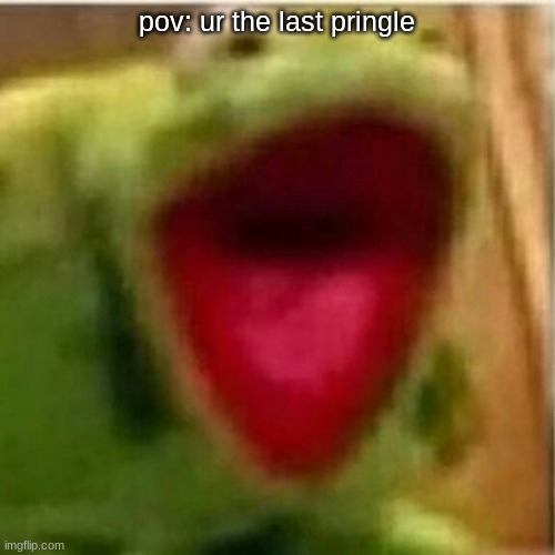 AHHHHHHHHHHHHH | pov: ur the last pringle | image tagged in ahhhhhhhhhhhhh | made w/ Imgflip meme maker