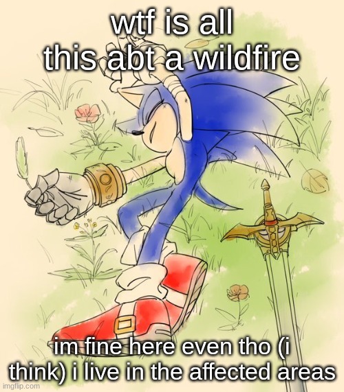 my mom was talking abt bad air ql or smth idrek | wtf is all this abt a wildfire; im fine here even tho (i think) i live in the affected areas | image tagged in sonic and caliburn by chaosrice | made w/ Imgflip meme maker