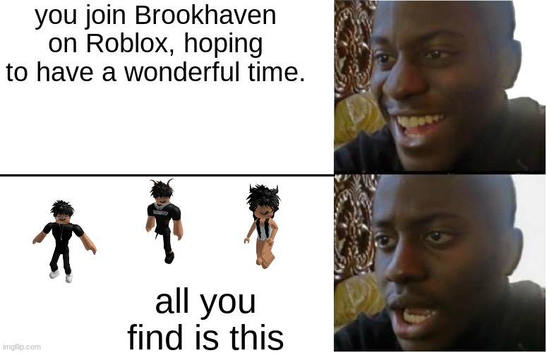 brookhaven.... | you join Brookhaven on Roblox, hoping to have a wonderful time. all you find is this | image tagged in disappointed black guy | made w/ Imgflip meme maker