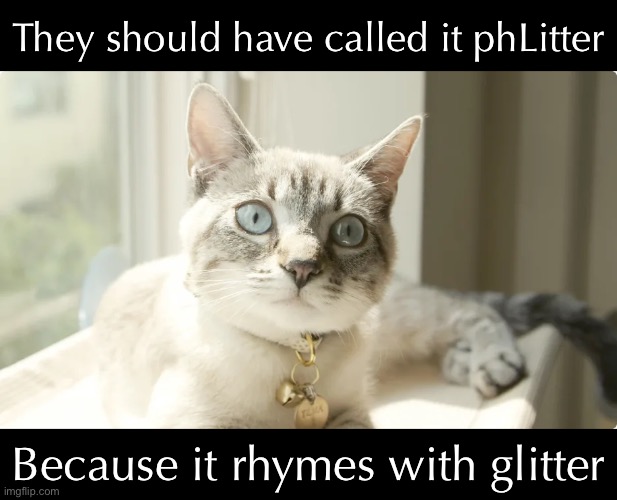 They should have called it phLitter Because it rhymes with glitter | made w/ Imgflip meme maker