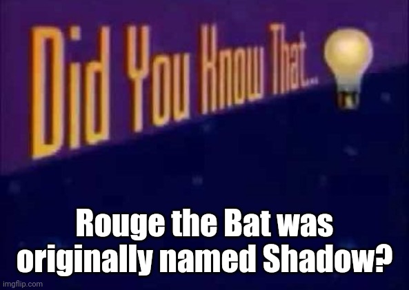 Did you know that... | Rouge the Bat was originally named Shadow? | image tagged in did you know that | made w/ Imgflip meme maker