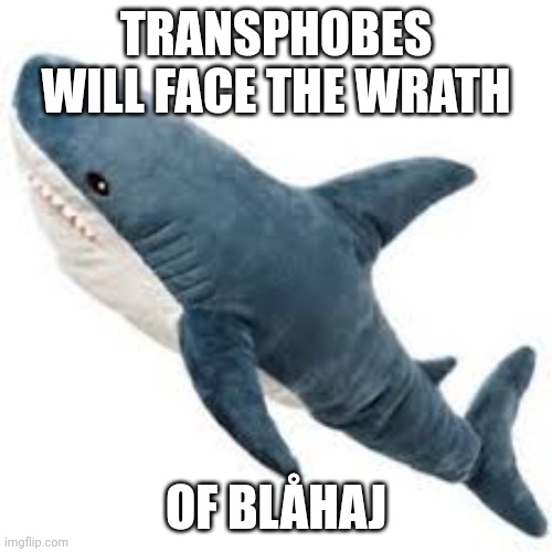Blåhaj | TRANSPHOBES WILL FACE THE WRATH; OF BLÅHAJ | image tagged in transgender,sharks | made w/ Imgflip meme maker