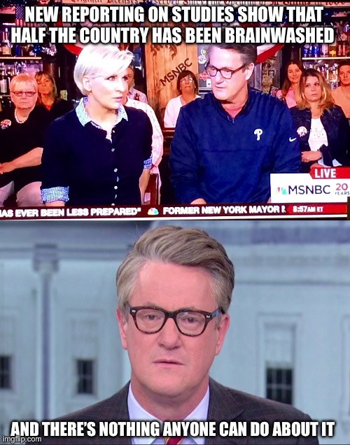 NEW REPORTING ON STUDIES SHOW THAT HALF THE COUNTRY HAS BEEN BRAINWASHED; AND THERE’S NOTHING ANYONE CAN DO ABOUT IT | image tagged in morning joe 1,joe scarborough | made w/ Imgflip meme maker