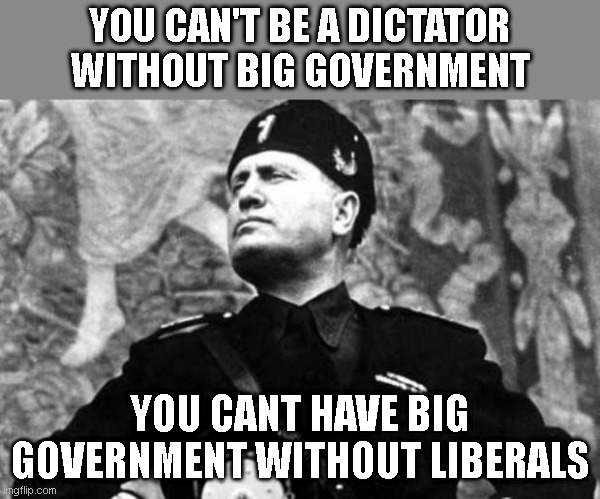 Alternate universe: Mussolini led the parks and library department with an iron fist! Big brother is watching you... wild geese! | YOU CAN'T BE A DICTATOR WITHOUT BIG GOVERNMENT; YOU CANT HAVE BIG GOVERNMENT WITHOUT LIBERALS | image tagged in mussolini | made w/ Imgflip meme maker