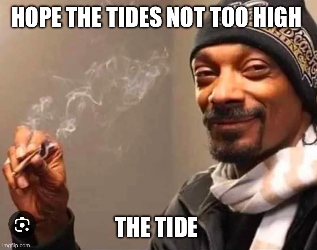High Tide | HOPE THE TIDES NOT TOO HIGH; THE TIDE | image tagged in tide,snoop dogg,smoking weed | made w/ Imgflip meme maker
