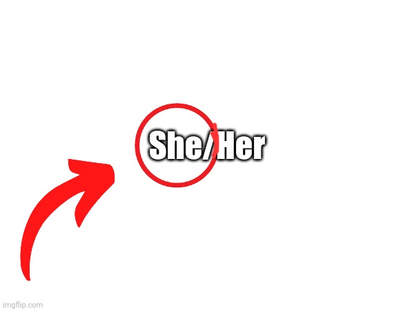 She/Her | made w/ Imgflip meme maker