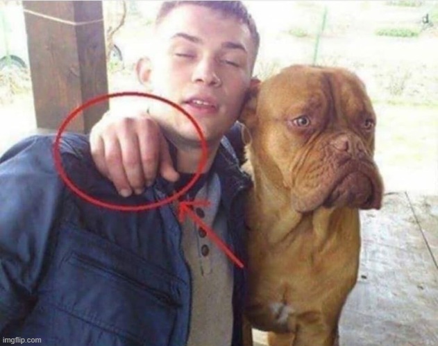 image tagged in dogs | made w/ Imgflip meme maker
