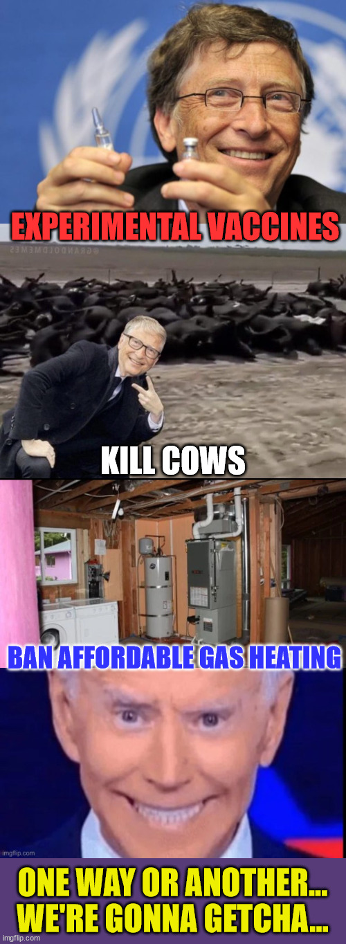 You're in their way America... | EXPERIMENTAL VACCINES; KILL COWS; BAN AFFORDABLE GAS HEATING; ONE WAY OR ANOTHER... WE'RE GONNA GETCHA... | image tagged in bill gates loves vaccines,bill gates killing cows,just,die,america,nwo police state | made w/ Imgflip meme maker