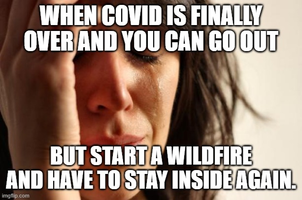 covid wildfire | WHEN COVID IS FINALLY OVER AND YOU CAN GO OUT; BUT START A WILDFIRE AND HAVE TO STAY INSIDE AGAIN. | image tagged in memes,first world problems | made w/ Imgflip meme maker