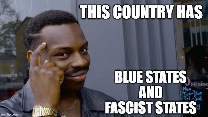 Roll Safe Think About Your Freedoms Slipping Away | THIS COUNTRY HAS; BLUE STATES
AND
FASCIST STATES | image tagged in roll safe think about it,fascists,change my mind,freedom,religious freedom,freedom of speech | made w/ Imgflip meme maker