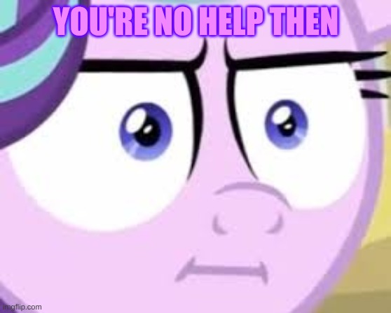 starlight glimmer wtf | YOU'RE NO HELP THEN | image tagged in starlight glimmer wtf | made w/ Imgflip meme maker