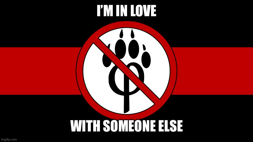 anti furry flag | I’M IN LOVE WITH SOMEONE ELSE | image tagged in anti furry flag | made w/ Imgflip meme maker