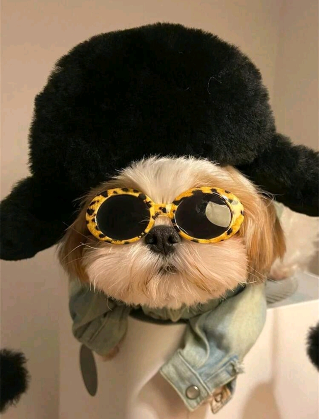 Funny hat Blank Meme Template