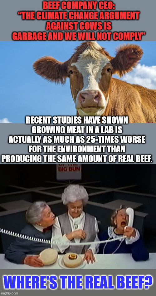 Cows cause climate change is a bunch of nonsense... | BEEF COMPANY CEO: “THE CLIMATE CHANGE ARGUMENT AGAINST COWS IS GARBAGE AND WE WILL NOT COMPLY”; RECENT STUDIES HAVE SHOWN GROWING MEAT IN A LAB IS ACTUALLY AS MUCH AS 25-TIMES WORSE FOR THE ENVIRONMENT THAN PRODUCING THE SAME AMOUNT OF REAL BEEF. WHERE'S THE REAL BEEF? | image tagged in where's the beef,climate change,global warming,fake news | made w/ Imgflip meme maker