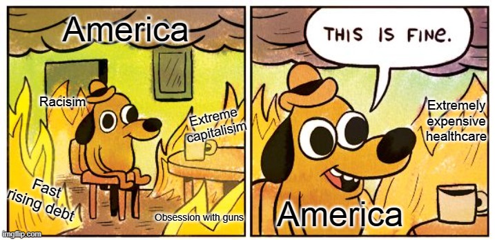 This Is Fine Meme | America; Racisim; Extremely expensive healthcare; Extreme capitalisim; Fast rising debt; America; Obsession with guns | image tagged in memes,this is fine | made w/ Imgflip meme maker