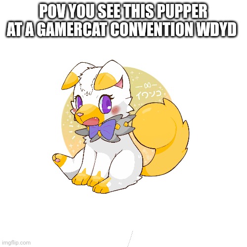 I'm stealing what Alex does | POV YOU SEE THIS PUPPER AT A GAMERCAT CONVENTION WDYD | image tagged in i am theif,no hurting her | made w/ Imgflip meme maker