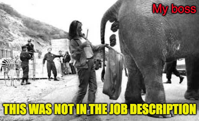 Elephant Poop Bad Day | My boss; THIS WAS NOT IN THE JOB DESCRIPTION | image tagged in elephant poop bad day | made w/ Imgflip meme maker