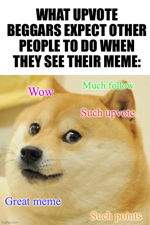 I hate them, also, please upvote (joke) | WHAT UPVOTE BEGGARS EXPECT OTHER PEOPLE TO DO WHEN THEY SEE THEIR MEME:; Much follow; Wow; Such upvote; Great meme; Such points | image tagged in memes,doge | made w/ Imgflip meme maker