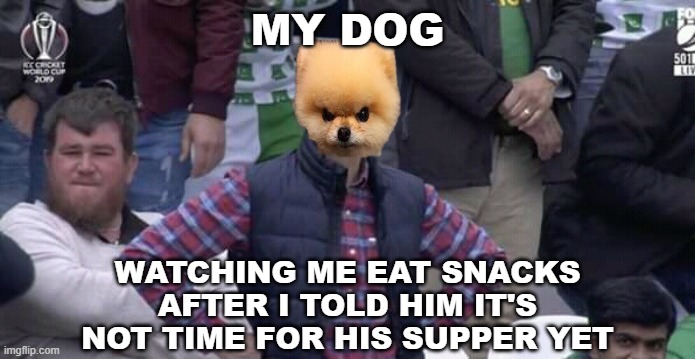 Annoyed Dog | MY DOG; WATCHING ME EAT SNACKS AFTER I TOLD HIM IT'S NOT TIME FOR HIS SUPPER YET | image tagged in annoyed man,supper time,hypocrisy | made w/ Imgflip meme maker