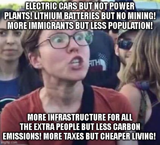 Angry Liberal | ELECTRIC CARS BUT NOT POWER PLANTS! LITHIUM BATTERIES BUT NO MINING! MORE IMMIGRANTS BUT LESS POPULATION! MORE INFRASTRUCTURE FOR ALL THE EXTRA PEOPLE BUT LESS CARBON EMISSIONS! MORE TAXES BUT CHEAPER LIVING! | image tagged in angry liberal | made w/ Imgflip meme maker