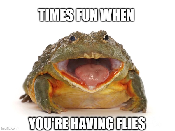 Frog | TIMES FUN WHEN; YOU'RE HAVING FLIES | image tagged in memes,frog,eyeroll | made w/ Imgflip meme maker