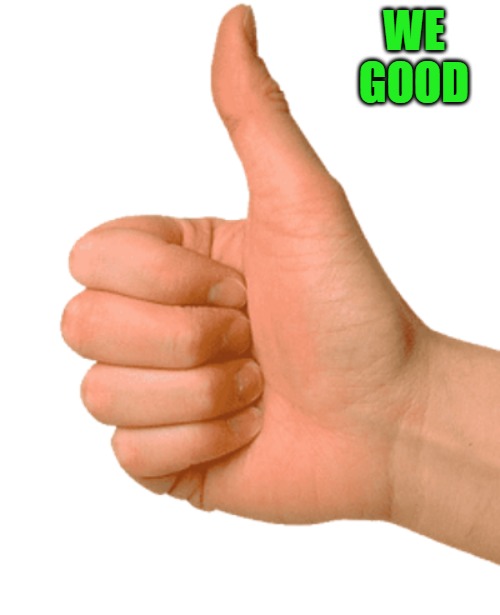 thumbs up | WE GOOD | image tagged in thumbs up | made w/ Imgflip meme maker