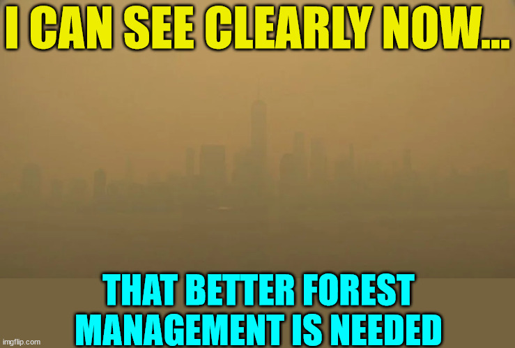 NYC skyline...  Woke Canada burning... | I CAN SEE CLEARLY NOW... THAT BETTER FOREST MANAGEMENT IS NEEDED | image tagged in global warming,late,nyc | made w/ Imgflip meme maker