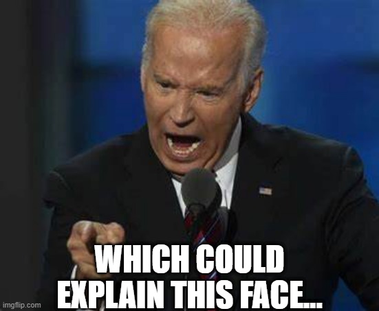 WHICH COULD EXPLAIN THIS FACE... | made w/ Imgflip meme maker