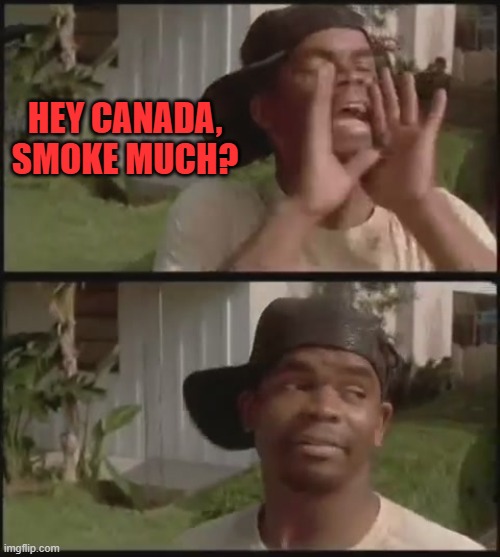 Smokey is taking a shit | HEY CANADA, SMOKE MUCH? | image tagged in smokey is taking a shit | made w/ Imgflip meme maker