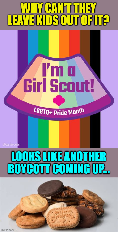 Why can't they leave kids out of it? | WHY CAN'T THEY LEAVE KIDS OUT OF IT? LOOKS LIKE ANOTHER BOYCOTT COMING UP... | image tagged in woke,broke,boycott,girl scout cookies | made w/ Imgflip meme maker