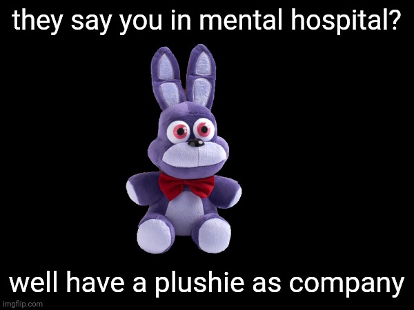 they say you in mental hospital? well have a plushie as company | made w/ Imgflip meme maker