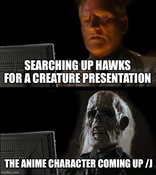 /j | SEARCHING UP HAWKS FOR A CREATURE PRESENTATION; THE ANIME CHARACTER COMING UP /J | image tagged in memes,i'll just wait here | made w/ Imgflip meme maker