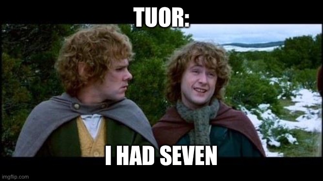 LOTR | TUOR: I HAD SEVEN | image tagged in lotr | made w/ Imgflip meme maker