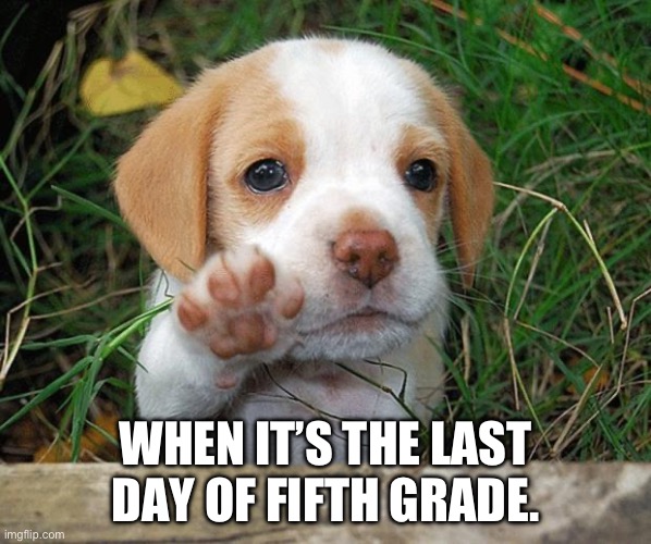 In elementary school I was in a Spanish class and stayed with the same 20 kids for 6 years. They my siblings. | WHEN IT’S THE LAST DAY OF FIFTH GRADE. | image tagged in dog puppy bye | made w/ Imgflip meme maker