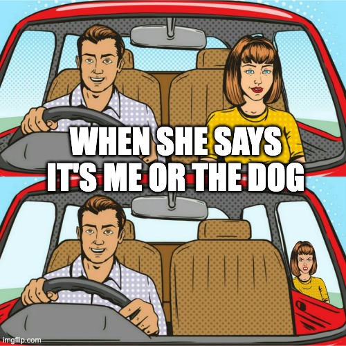 Me or the dog | WHEN SHE SAYS IT'S ME OR THE DOG | image tagged in couple in car | made w/ Imgflip meme maker