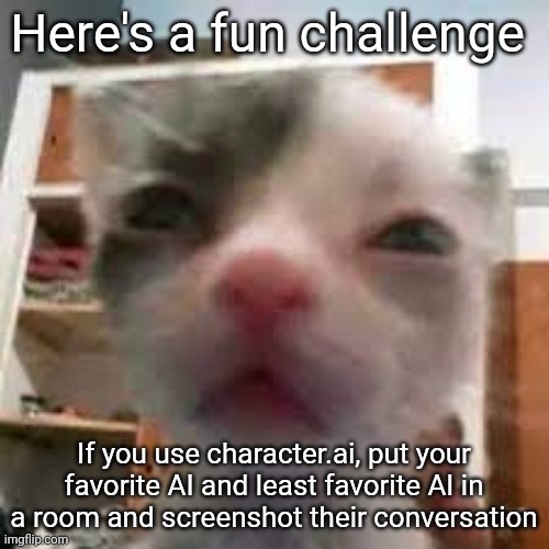 Cat lightskin stare | Here's a fun challenge; If you use character.ai, put your favorite AI and least favorite AI in a room and screenshot their conversation | image tagged in cat lightskin stare | made w/ Imgflip meme maker