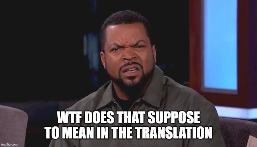 Really? Ice Cube | WTF DOES THAT SUPPOSE TO MEAN IN THE TRANSLATION | image tagged in really ice cube | made w/ Imgflip meme maker