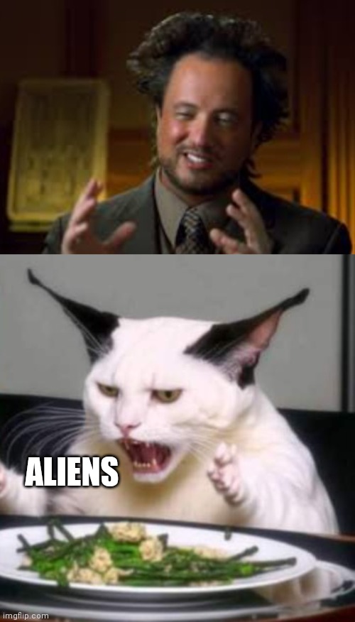 My boi Smudge.... | ALIENS | image tagged in funny | made w/ Imgflip meme maker