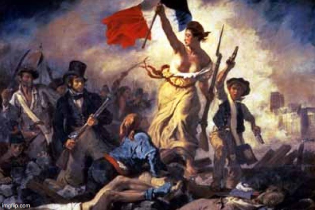 French Revolution | image tagged in french revolution | made w/ Imgflip meme maker