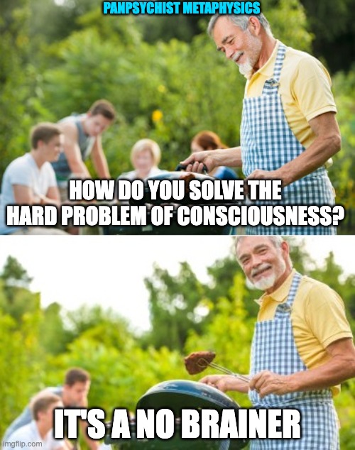 Panpsychist metaphysics | PANPSYCHIST METAPHYSICS; HOW DO YOU SOLVE THE HARD PROBLEM OF CONSCIOUSNESS? IT'S A NO BRAINER | image tagged in incoming dad joke | made w/ Imgflip meme maker