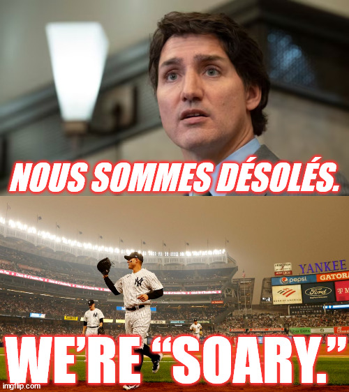 In Canada it’s pronounced “soary” | NOUS SOMMES DÉSOLÉS. WE’RE “SOARY.” | image tagged in memes,canada,usa,justin trudeau,trudeau,wildfires | made w/ Imgflip meme maker
