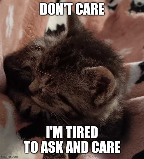 Don't care | DON'T CARE; I'M TIRED TO ASK AND CARE | image tagged in don't care | made w/ Imgflip meme maker