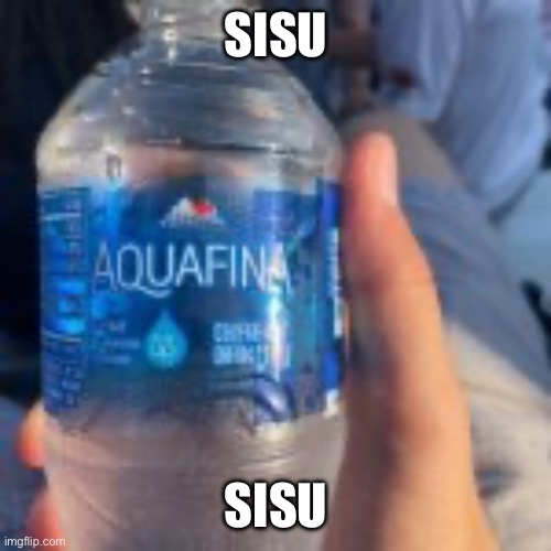 Disney reference, if you understand you are based, if not don’t watch the movie it’s from its very bad | SISU; SISU | made w/ Imgflip meme maker