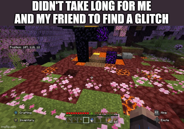You can't place pink petals on netherrack, magma, or Lava. And yet world generation did it anyways | DIDN'T TAKE LONG FOR ME AND MY FRIEND TO FIND A GLITCH | image tagged in minecraft | made w/ Imgflip meme maker