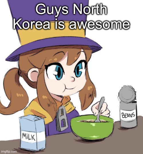 @desc | I’m being held hostage by Kim John un my exact coordinates are 39° 1' 9.9984'' N and 125° 44' 16.9872'' E he’s going to force me to watch TikTok help | image tagged in hat kid beamns | made w/ Imgflip meme maker