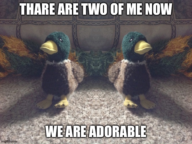 THARE ARE TWO OF ME NOW; WE ARE ADORABLE | made w/ Imgflip meme maker