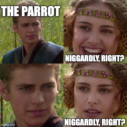 Anakin Padme 4 Panel | THE PARROT NIGGARDLY, RIGHT? NIGGARDLY, RIGHT? | image tagged in anakin padme 4 panel | made w/ Imgflip meme maker