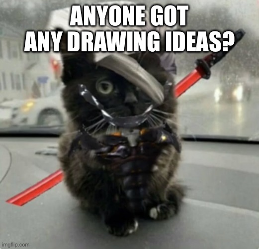 I’ll probably get to them tomorrow | ANYONE GOT ANY DRAWING IDEAS? | image tagged in raiden cat | made w/ Imgflip meme maker