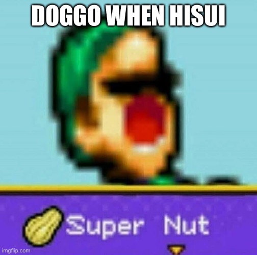 Luigi Super Nut | DOGGO WHEN HISUI | image tagged in luigi super nut | made w/ Imgflip meme maker